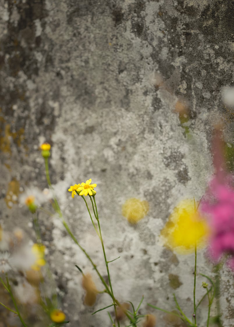 Allgemein_ 20230721_jivita_moodfotografie_0250_web