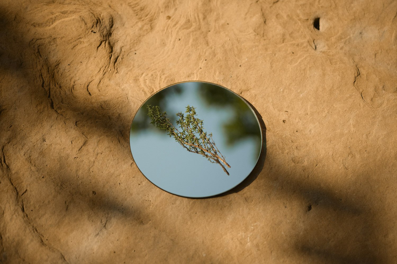 Phyto_Generell_20230721_jivita_moodfotografie_0808_web