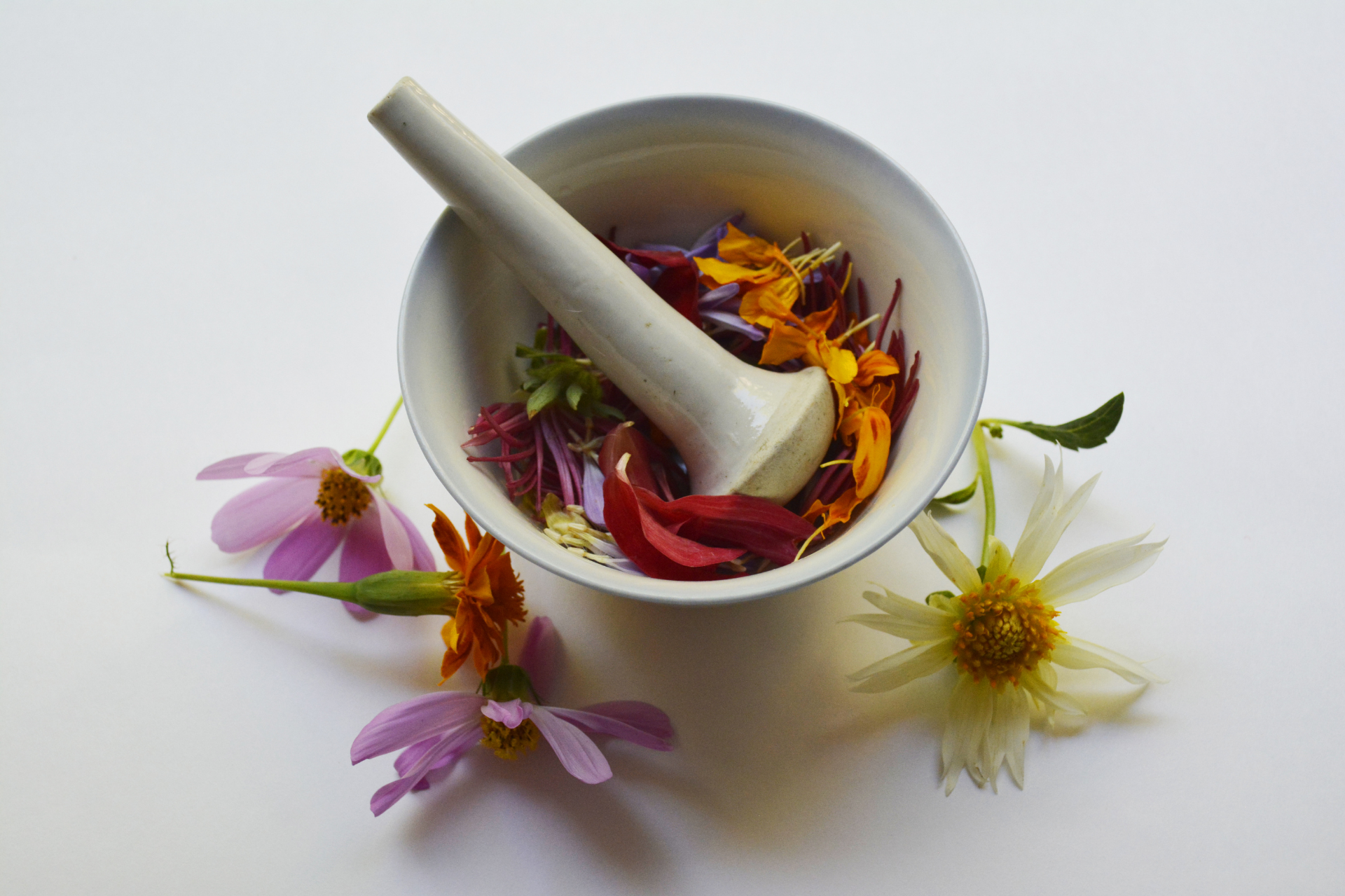 Ayurveda Heilpflanzen (1)